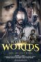 A World Of Worlds: Rise of the King 2021 A World of Worlds: Rise of the King (2021) - IMDb