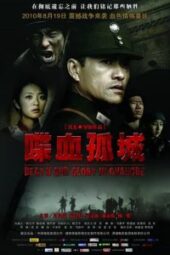 Death and Glory in Changde (2010) - IMDb