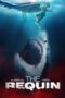 The Requin (2022) - IMDb