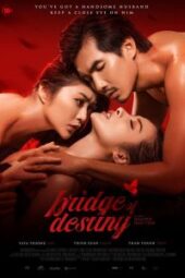 Bridge of Destiny (2020) - IMDb
