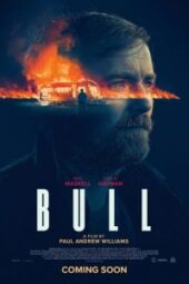 Bull (2021) - IMDb