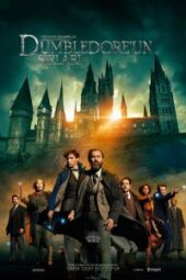 Fantastic Beasts: The Secrets of Dumbledore (2022) - IMDb