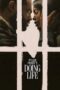 Poster Nonton Film Doing Life (2026) Sub Indo