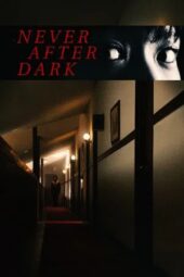 Poster Nonton Film Never After Dark (2026) Sub Indo